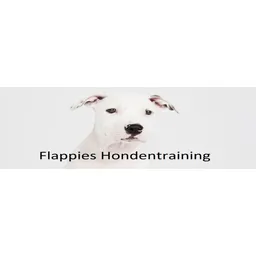 Logo flappie